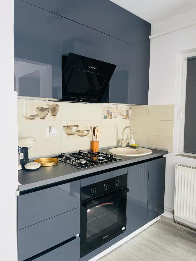 Timisoara Central Apartment New Parking !! Buitenkant foto