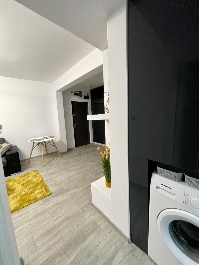 Timisoara Central Apartment New Parking !! Buitenkant foto