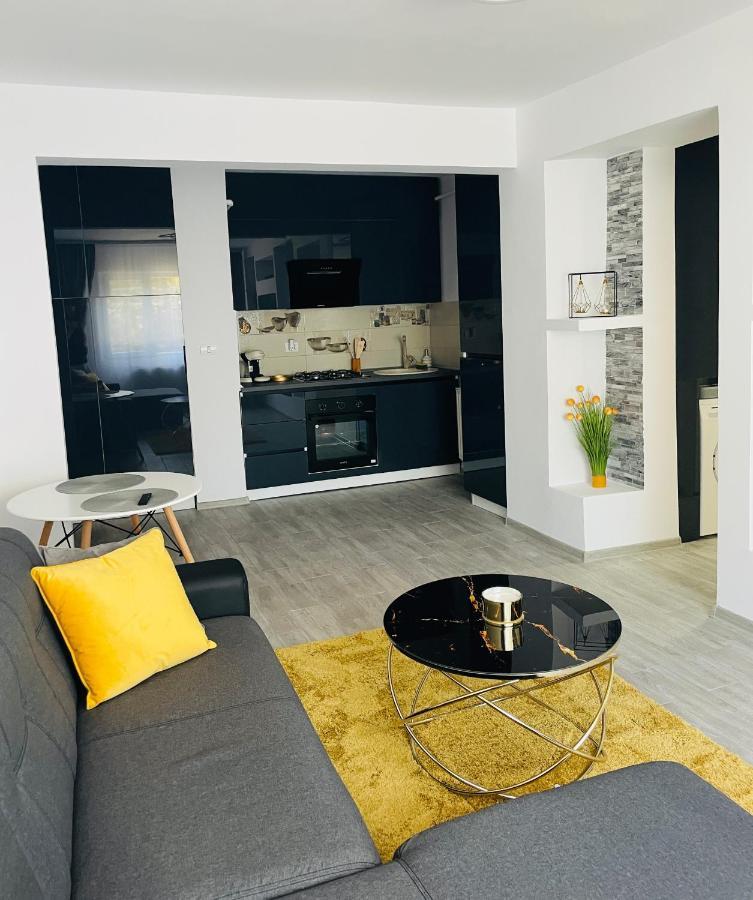 Timisoara Central Apartment New Parking !! Buitenkant foto