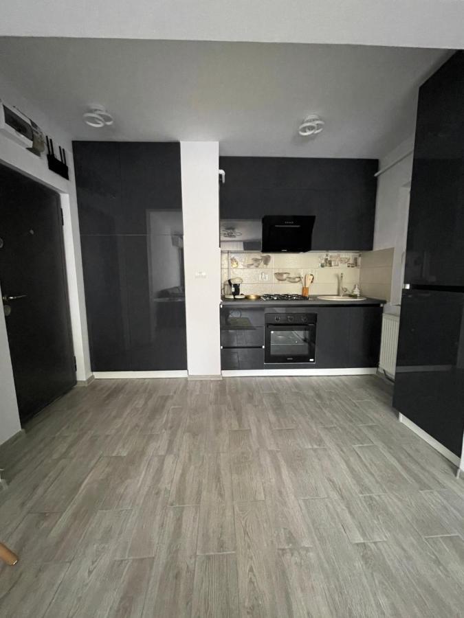 Timisoara Central Apartment New Parking !! Buitenkant foto