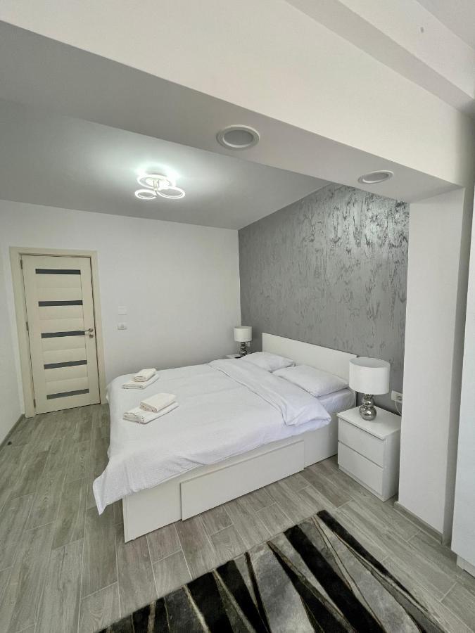 Timisoara Central Apartment New Parking !! Buitenkant foto