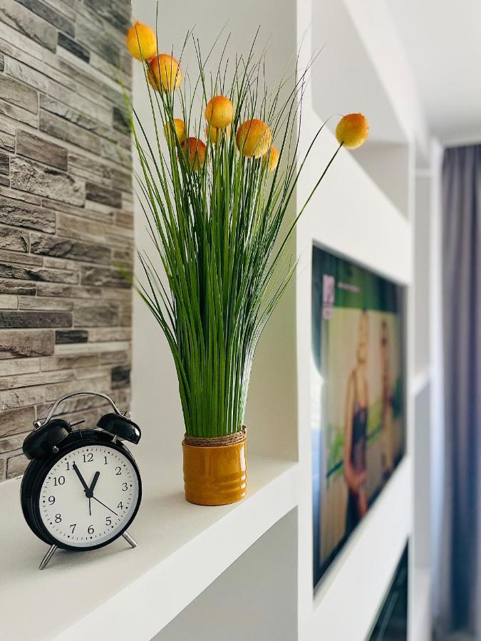 Timisoara Central Apartment New Parking !! Buitenkant foto